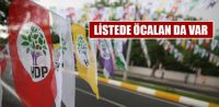 HDP Şanlıurfa Milletvekili Adayları 